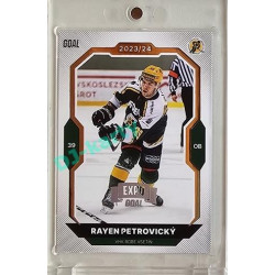 2023/24 Goal cards Chance Liga 2. série #218 Rayen Petrovický Expo Silver 1of7