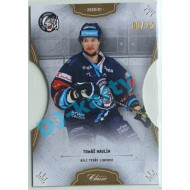 2020/21 OFS 2. série Tomáš Havlín #209 09/25 Hobby Cut
