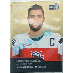 2020 MK reprezentace Libor Zábranský RC juniorské naděje #79 Gold Promo
