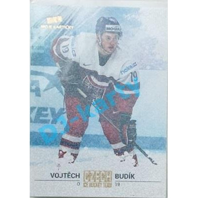 2017/18 MK reprezentace Vojtěch Budík #38 3/5 Gold Rainbow