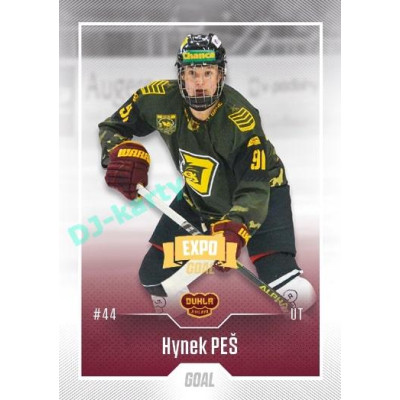 2022/23 Goal Cards Chance Liga Update #408 Hynek Peš Expo