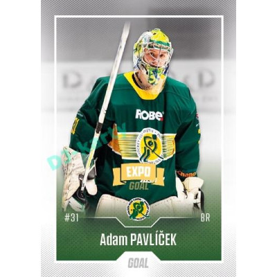 2022/23 Goal Cards Chance Liga Update #413 Adam Pavlíček Expo