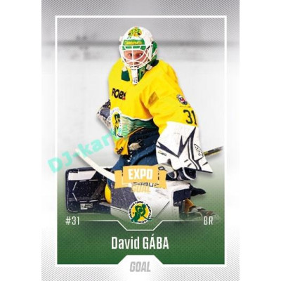 2022/23 Goal Cards Chance Liga Update #414 David Gába Expo