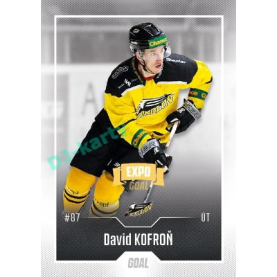 2022/23 Goal Cards Chance Liga Update #428 David Kofroň Expo