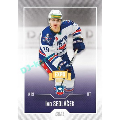 2022/23 Goal Cards Chance Liga Update #443 Ivo Sedláček Expo