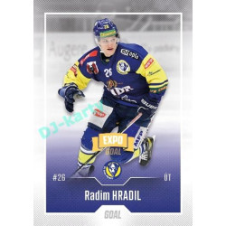 2022/23 Goal Cards Chance Liga Update #446 Radim Hradil Expo