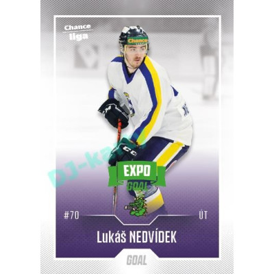 2022/23 Goal Cards Chance Liga 2. série #382 Lukáš Nedvídek Expo Green x/4
