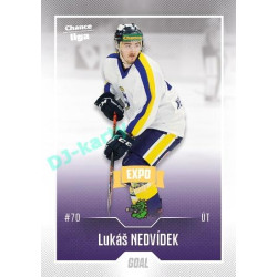 2022/23 Goal Cards Chance Liga 2. série #382 Lukáš Nedvídek Expo