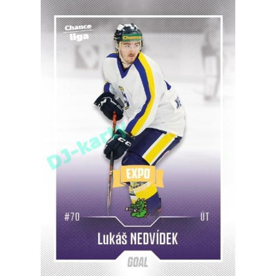 2022/23 Goal Cards Chance Liga 2. série #382 Lukáš Nedvídek Expo