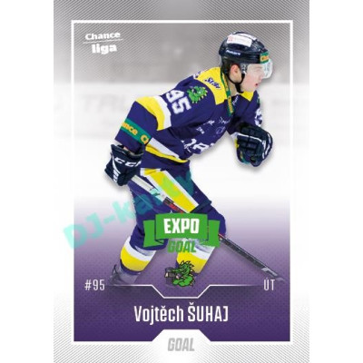 2022/23 Goal Cards Chance Liga 2. série #384 Vojtěch Šuhaj Expo Green x/4