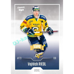 2022/23 Goal Cards Chance Liga 2. série #391 Vojtěch Riedl Expo