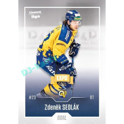 2022/23 Goal Cards Chance Liga 2. série #393 Zdeněk Sedlák Expo