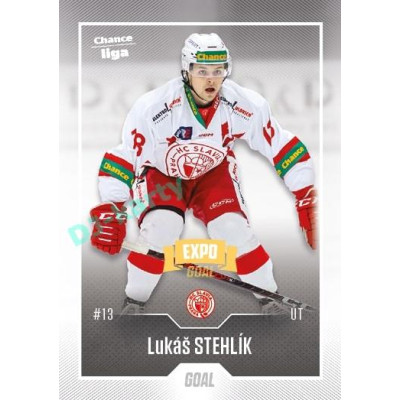 2022/23 Goal Cards Chance Liga 2. série #310 Lukáš Stehlík Expo