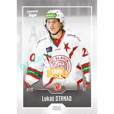 2022/23 Goal Cards Chance Liga 2. série #311 Lukáš Strnad Expo
