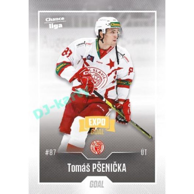 2022/23 Goal Cards Chance Liga 2. série #314 Tomáš Pšenička Expo