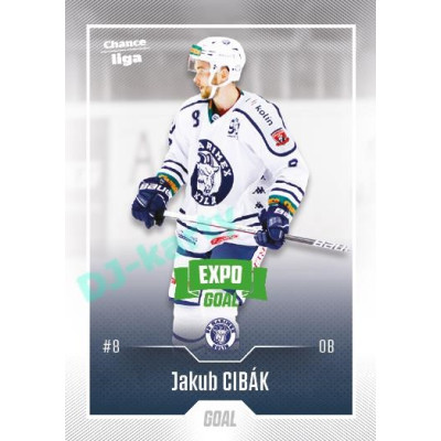 2022/23 Goal Cards Chance Liga 2. série #316 Jakub Cibák Expo Green x/4
