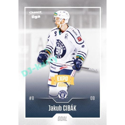 2022/23 Goal Cards Chance Liga 2. série #316 Jakub Cibák Expo