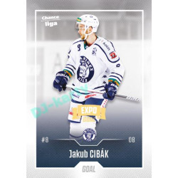 2022/23 Goal Cards Chance Liga 2. série #316 Jakub Cibák Expo Ostrava GOLD 1of2