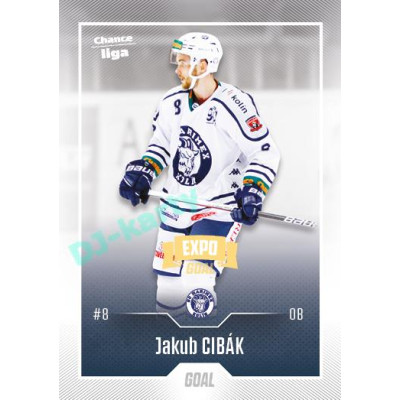 2022/23 Goal Cards Chance Liga 2. série #316 Jakub Cibák Expo Ostrava GOLD 1of2