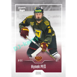 2022/23 Goal Cards Chance Liga Update #408 Hynek Peš