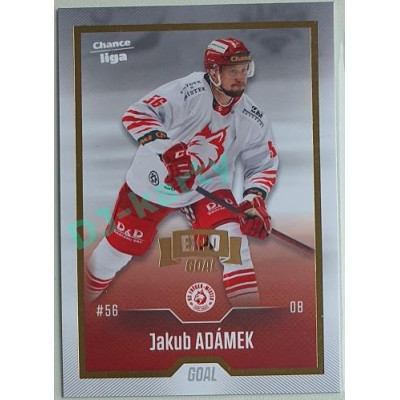 2022/23 Goal Cards Chance Liga 1. série #134 Jakub Adámek Expo Pardubice Gold 1 of 3