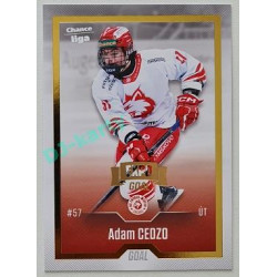 2022/23 Goal Cards Chance Liga Update #468 Adam Cedzo Expo Gold 1 of 3
