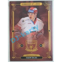 2021 OFS Kingdom of Lions Radim Šalda #B06