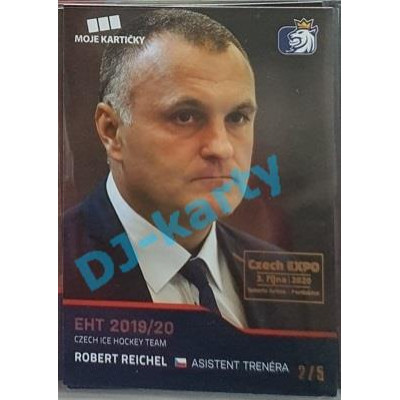 2020 MK reprezentace Robert Reichel #87 2/5 Silver Czech Expo