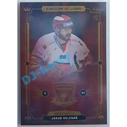 2021 OFS Kingdom of Lions Jakub Sklenář #B18 11/12 Rainbow
