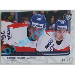 2018/19 MK reprezentace Kryštof Hrabík #66 01/25 Gold