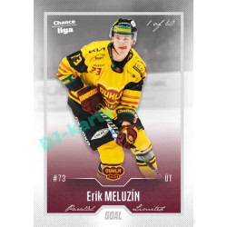 2022/23 Goal Cards Chance Liga Update #411 Erik Meluzín Silver 1 of 60