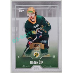 2022/23 Goal Cards Chance Liga Update #417 Radek Číp Expo Silver 1 of 3