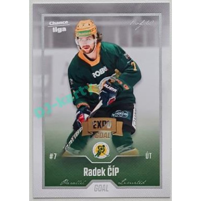 2022/23 Goal Cards Chance Liga Update #417 Radek Číp Expo Silver 1 of 3