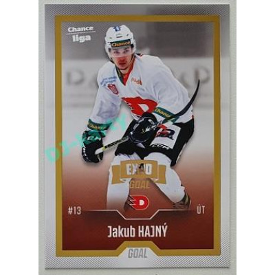 2022/23 Goal Cards Chance Liga Update #478 Jakub Hajný Expo Gold 1 of 3