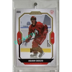 2023/24 Goal cards Chance Liga 2. série #323 Adam Cedzo Expo Gold 1of7