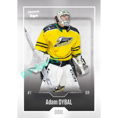 2022/23 Goal Cards Chance Liga Update #420 Adam Dybal