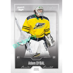 2022/23 Goal Cards Chance Liga Update #420 Adam Dybal Silver 1 of 60
