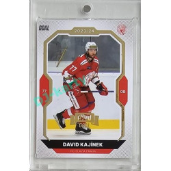 2023/24 Goal cards Chance Liga 2. série #333 David Kajínek Expo Gold 1of7