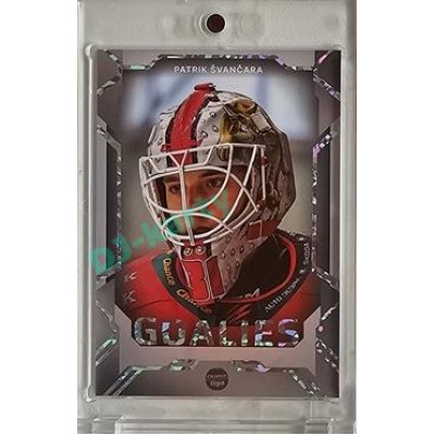 2023/24 Goal cards Chance Liga 2. série #G-19 Patrik Švančara Goalies Parallel xx/19