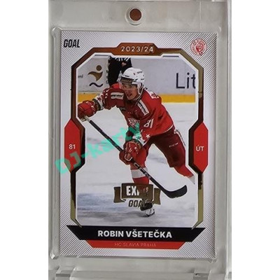2023/24 Goal cards Chance Liga 2. série #338 Robin Všetečka Expo Gold 1of7