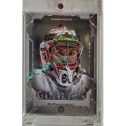 2023/24 Goal cards Chance Liga 2. série #G-22 Roman Málek Goalies Parallel xx/19