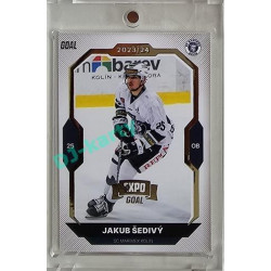 2023/24 Goal cards Chance Liga 2. série #347 Jakub Šedivý Expo Gold 1of7