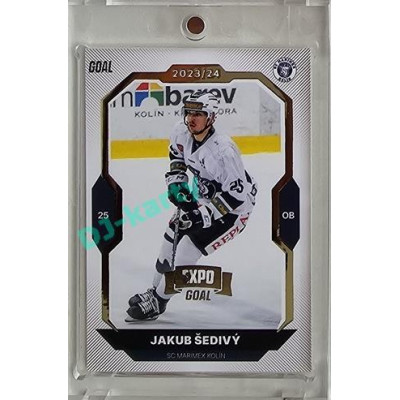 2023/24 Goal cards Chance Liga 2. série #347 Jakub Šedivý Expo Gold 1of7