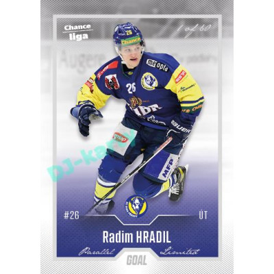 2022/23 Goal Cards Chance Liga Update #446 Radim Hradil Silver 1 of 60