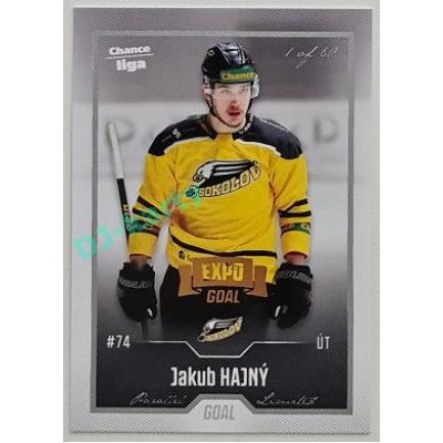 2022/23 Goal Cards Chance Liga Update #427 Jakub Hajný Expo Silver 1 of 3