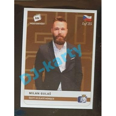 2020 MK Stick Milan Gulaš Šestý ve Zlaté hokejce #06 1 of 25 Bronze
