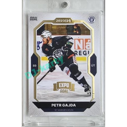 2023/24 Goal cards Chance Liga 2. série #355 Petr Gajda Expo Gold 1of7