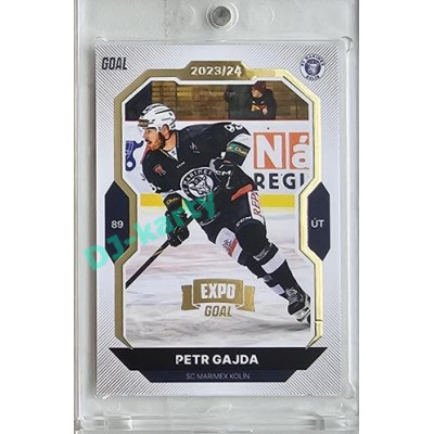 2023/24 Goal cards Chance Liga 2. série #355 Petr Gajda Expo Gold 1of7