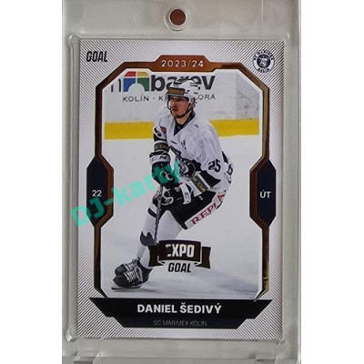 2023/24 Goal cards Chance Liga 2. série #356 Daniel Šedivý Expo Gold 1of7