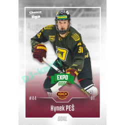 2022/23 Goal Cards Chance Liga Update #408 Hynek Peš Expo Green